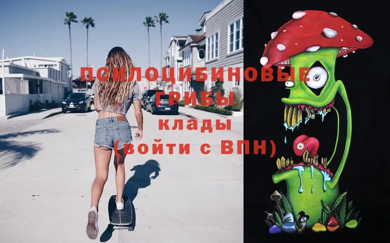 Псилоцибиновые грибы Magic Shrooms  Кущёвская 